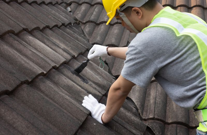 Long-Term Roof Health